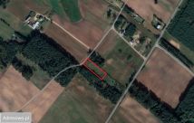 Działka budowlana Walne. Zdjęcie 3