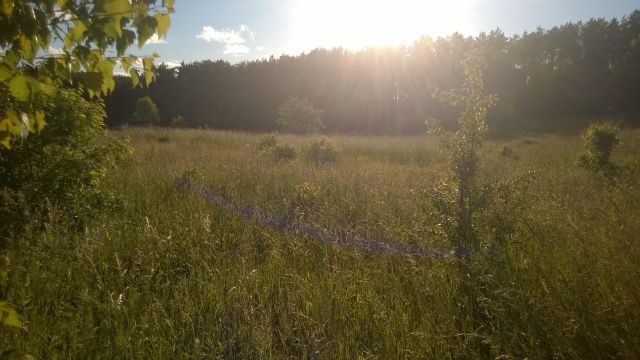 Działka budowlana Pluski, ul. Polna. Zdjęcie 6