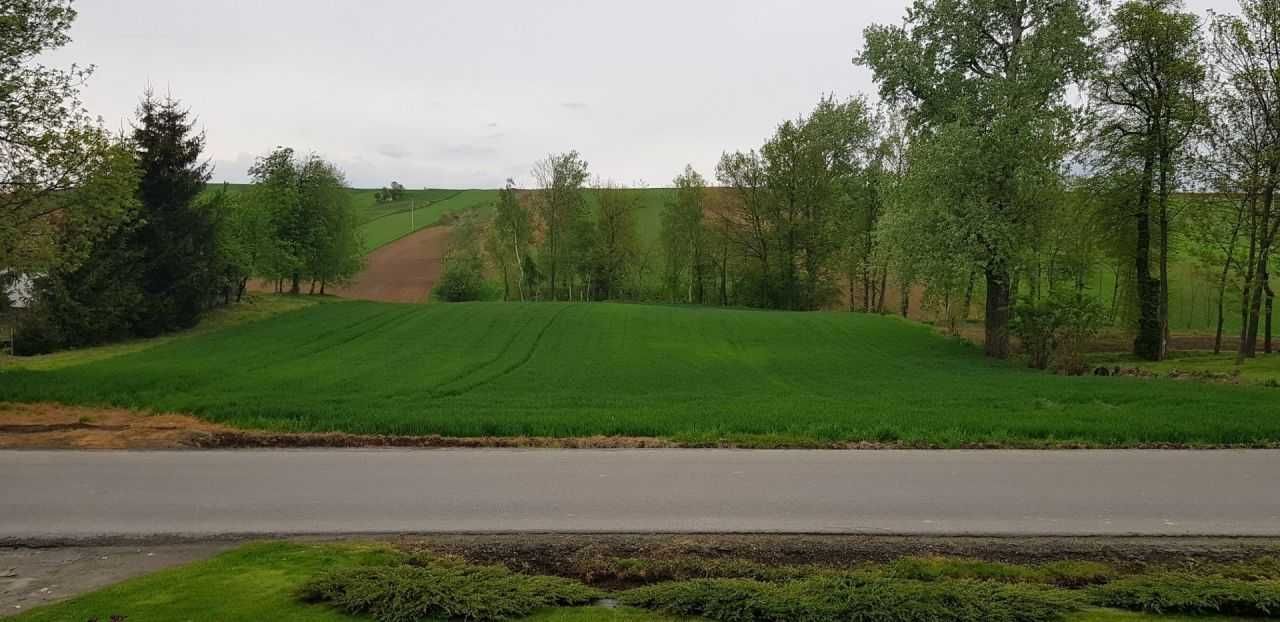 Działka budowlana Kacice. Zdjęcie 1