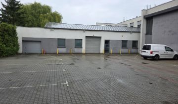 Lokal Brodnica Centrum, ul. Podgórna