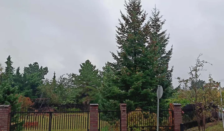 Działka budowlana Bogucin Ligowiec, ul. Pilotów