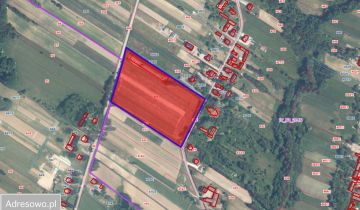 Działka na sprzedaż Krajno Pierwsze 