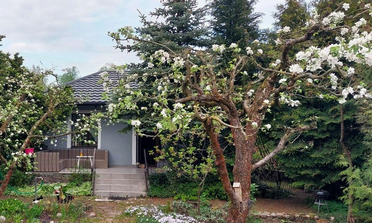 Działka rod Drzewianowo. Zdjęcie 18