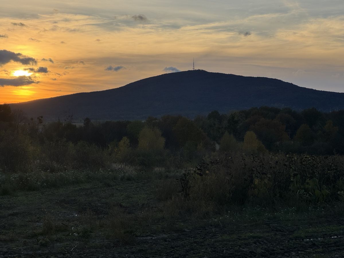Działka inwestycyjna Nasławice. Zdjęcie 5