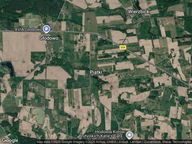 Działka rolna Piątki. Zdjęcie 1