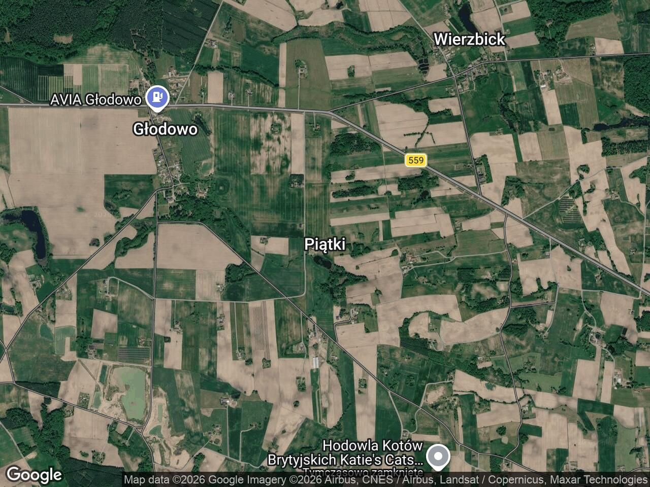 Działka rolna Piątki. Zdjęcie 1