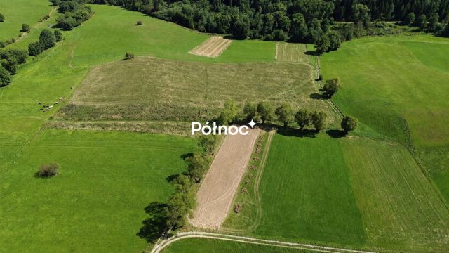 Działka budowlana Falsztyn, ul. Ogrodowa. Zdjęcie 4