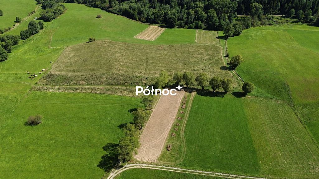 Działka budowlana Falsztyn, ul. Ogrodowa. Zdjęcie 4