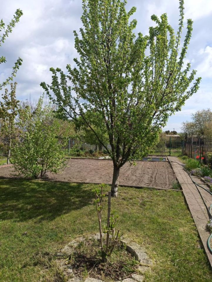 Działka rod Suwałki Centrum, ul. Lotnicza. Zdjęcie 5