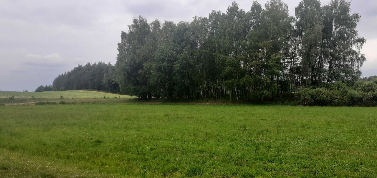 Działka rolna Zielona Góra. Zdjęcie 4