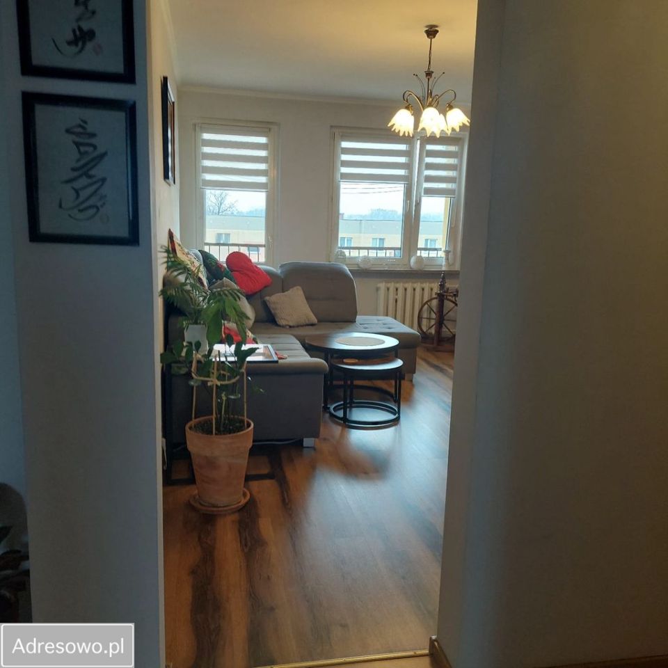 Mieszkanie 3-pokojowe Chojnów. Zdjęcie 14