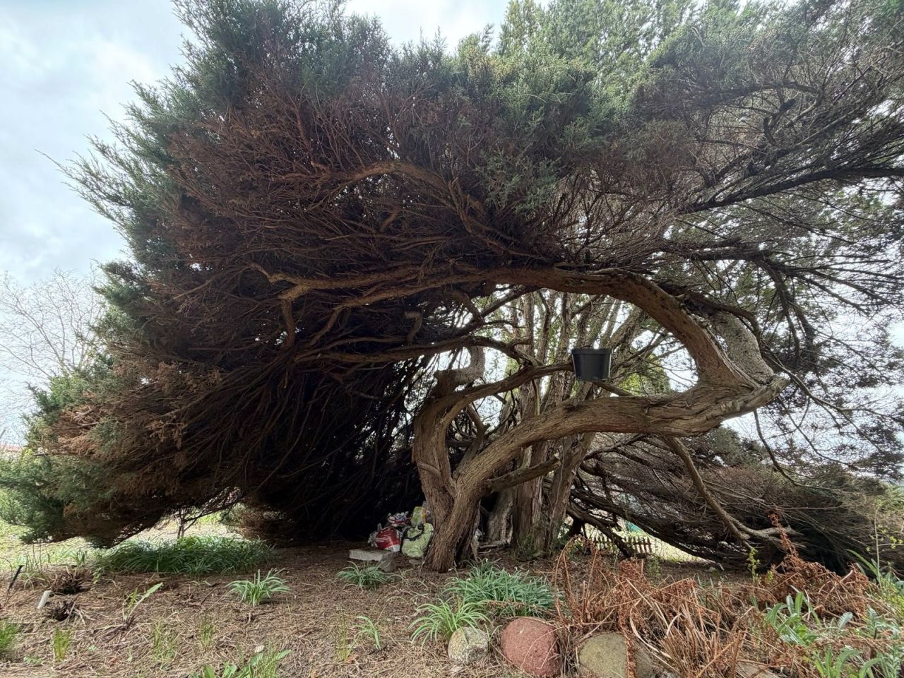 Działka rod Warszawa Ochota. Zdjęcie 2