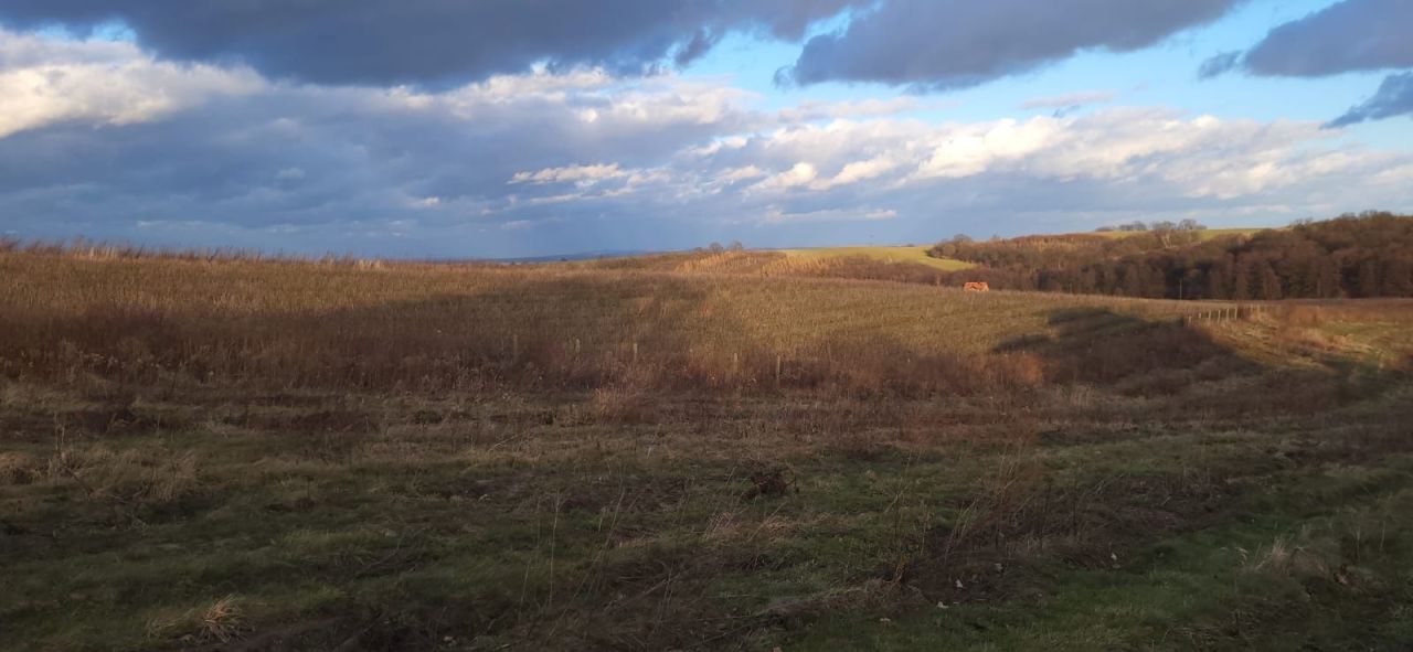 Działka siedliskowa Malczów. Zdjęcie 3