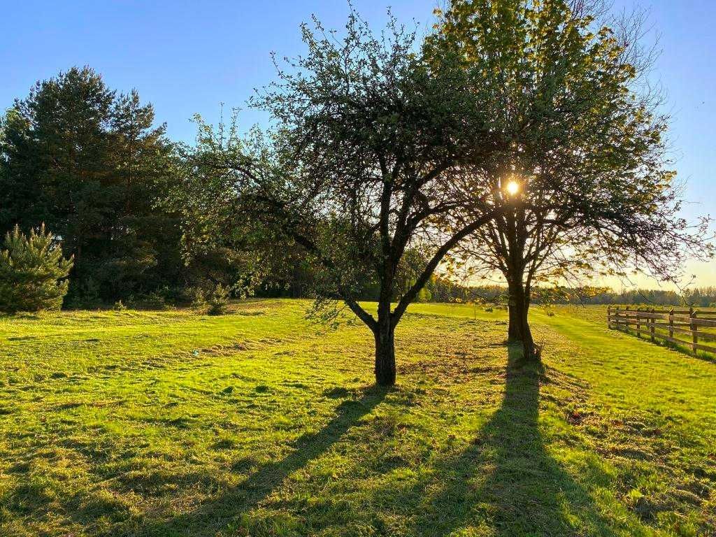 Działka Nowe Zawady. Zdjęcie 7