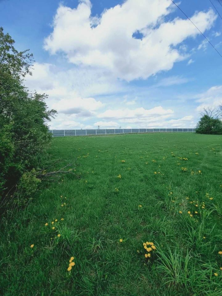 Działka rolno-budowlana Młynowo. Zdjęcie 2