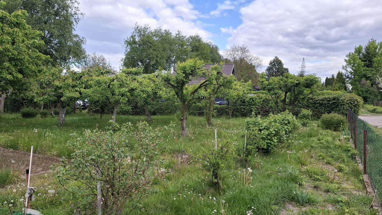 Działka rod Płock Radziwie, ul. Dobrzykowska. Zdjęcie 4