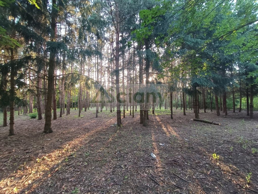 Działka budowlana Sulejówek Ratajewo. Zdjęcie 7