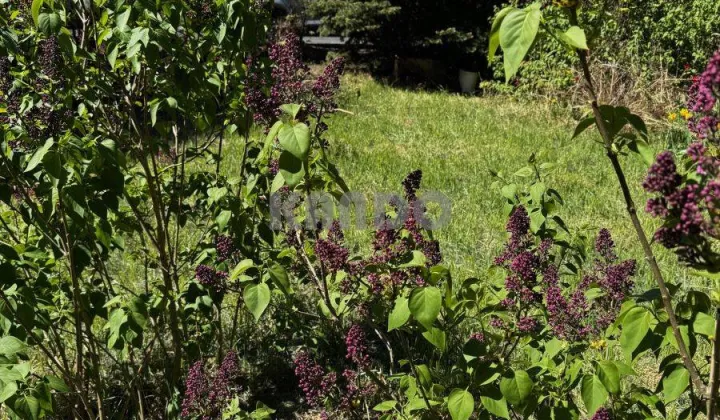 Mieszkanie 2-pokojowe Wrocław Śródmieście, ul. Bartosza Głowackiego