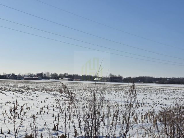 Działka inwestycyjna Błonie, ul. Sochaczewska. Zdjęcie 8