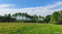 Działka budowlana Rudno Małe Rudno, ul. Zielona Droga. Zdjęcie 1