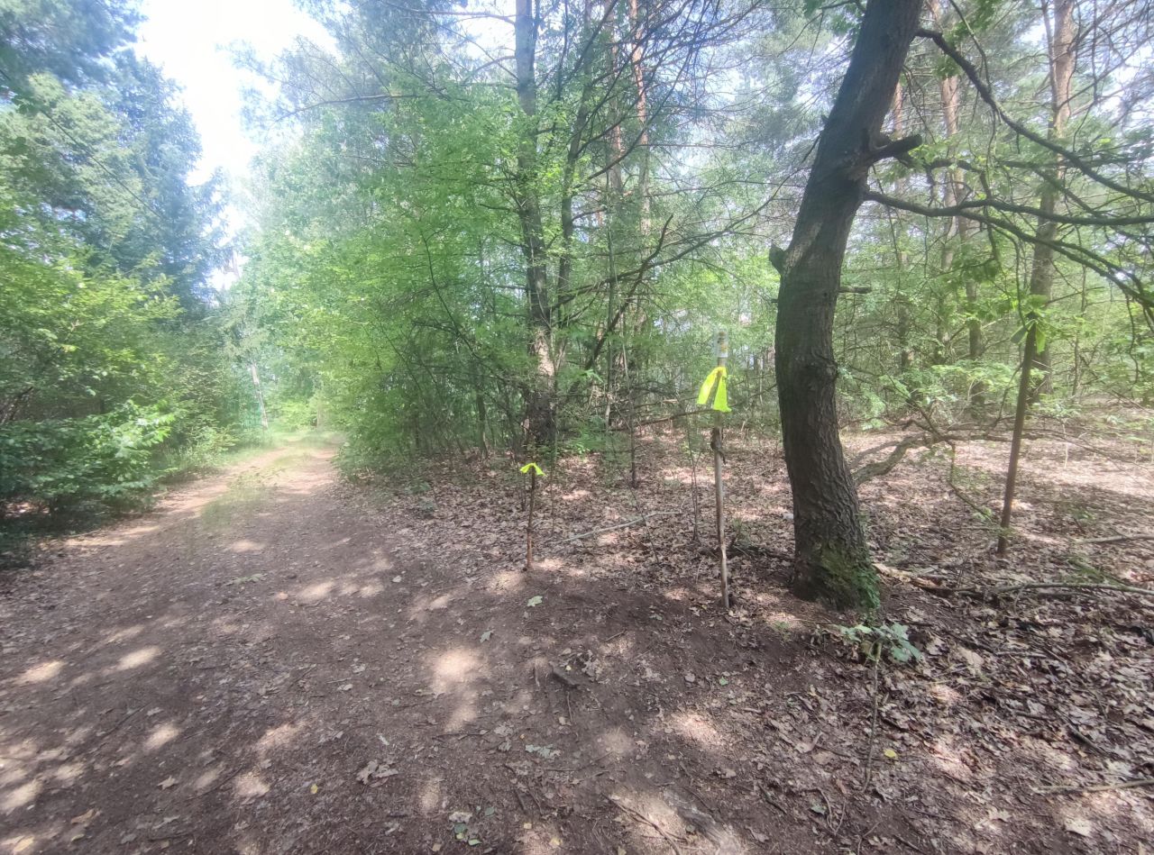 Działka siedliskowa Kuligów, ul. Okrężna. Zdjęcie 19