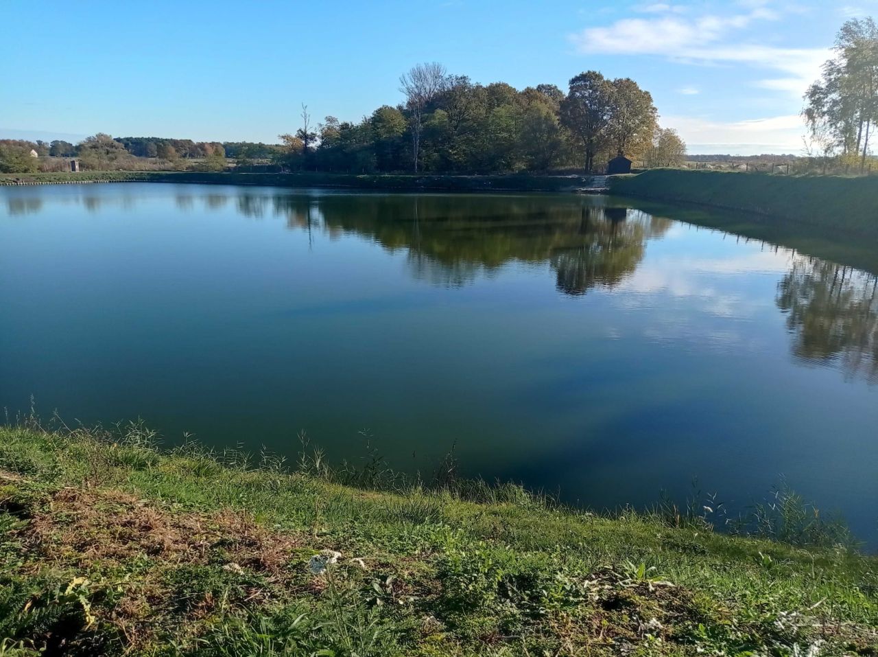 Działka rolna Krościna Wielka. Zdjęcie 2