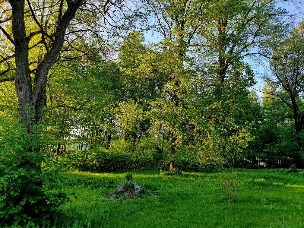 Działka budowlana Rydzynki. Zdjęcie 6