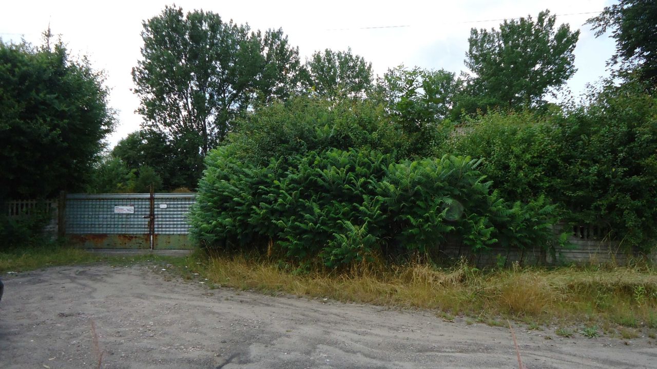 Działka rekreacyjna Skrzyńsko. Zdjęcie 2