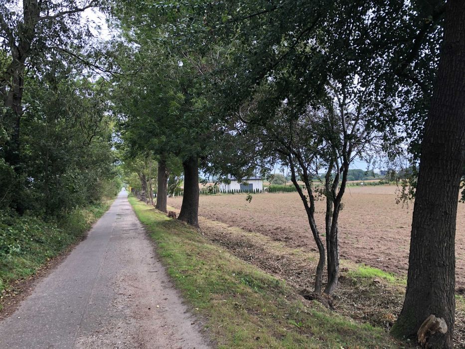 Działka budowlana Syców, ul. Polna. Zdjęcie 5