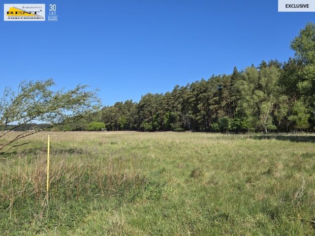 Działka rolna Szczecin. Zdjęcie 1