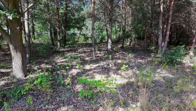 Działka budowlana Kady. Zdjęcie 8