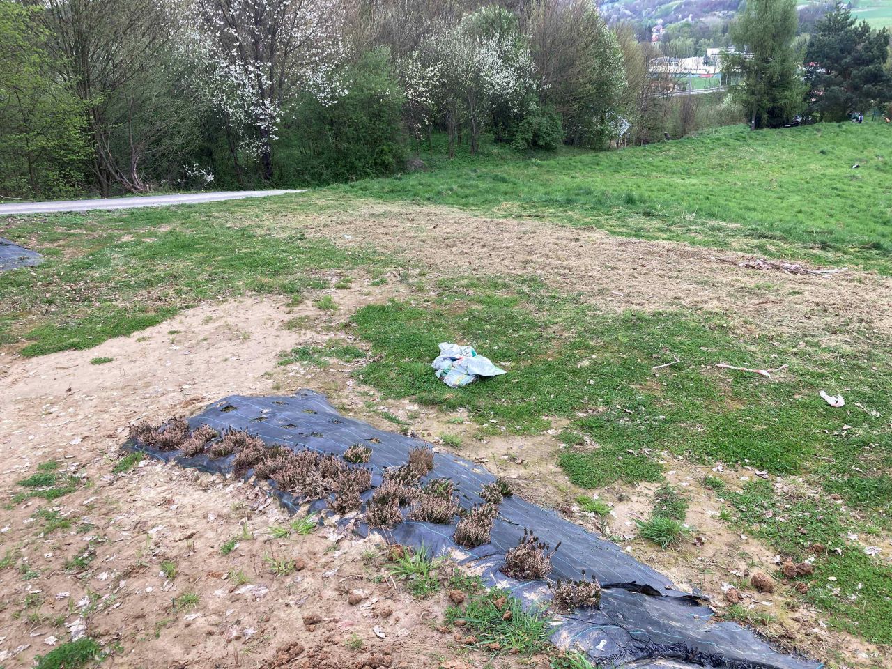 Działka rolno-budowlana Przedmieście Czudeckie Zawisłocze. Zdjęcie 14