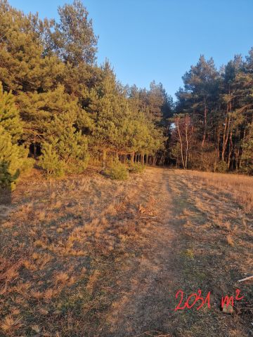 Działka budowlana Stare Bosewo, ul. Główna. Zdjęcie 1