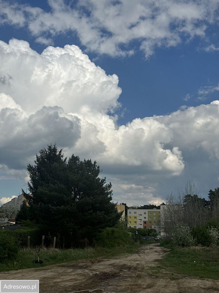 Działka rolna Zielona Góra Centrum, ul. Stefana Batorego. Zdjęcie 8