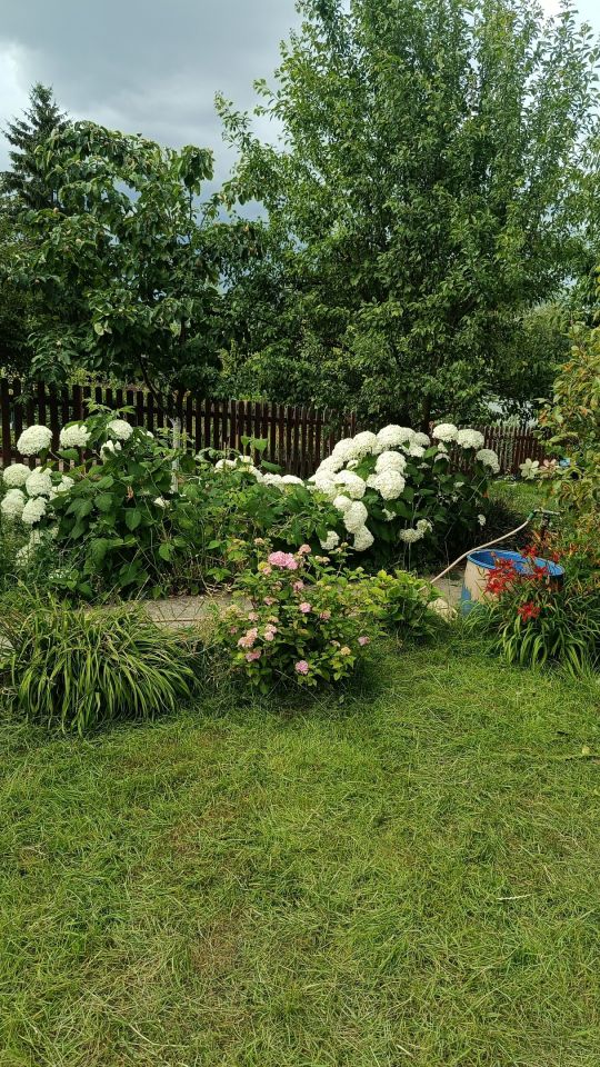 Działka rod Gorzów Wielkopolski, ul. Franklina Roosevelta. Zdjęcie 6