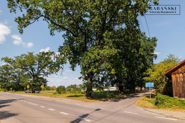 Działka budowlana Dąbrówki Breńskie. Zdjęcie 15