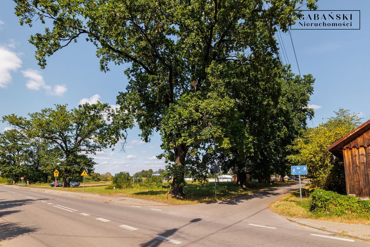 Działka budowlana Dąbrówki Breńskie. Zdjęcie 15