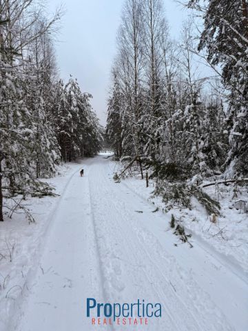 dom wolnostojący, 3 pokoje Natać Wielka. Zdjęcie 18
