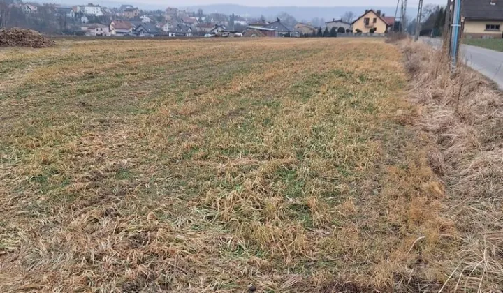 Działka budowlana Syrynia, ul. Gołężyców