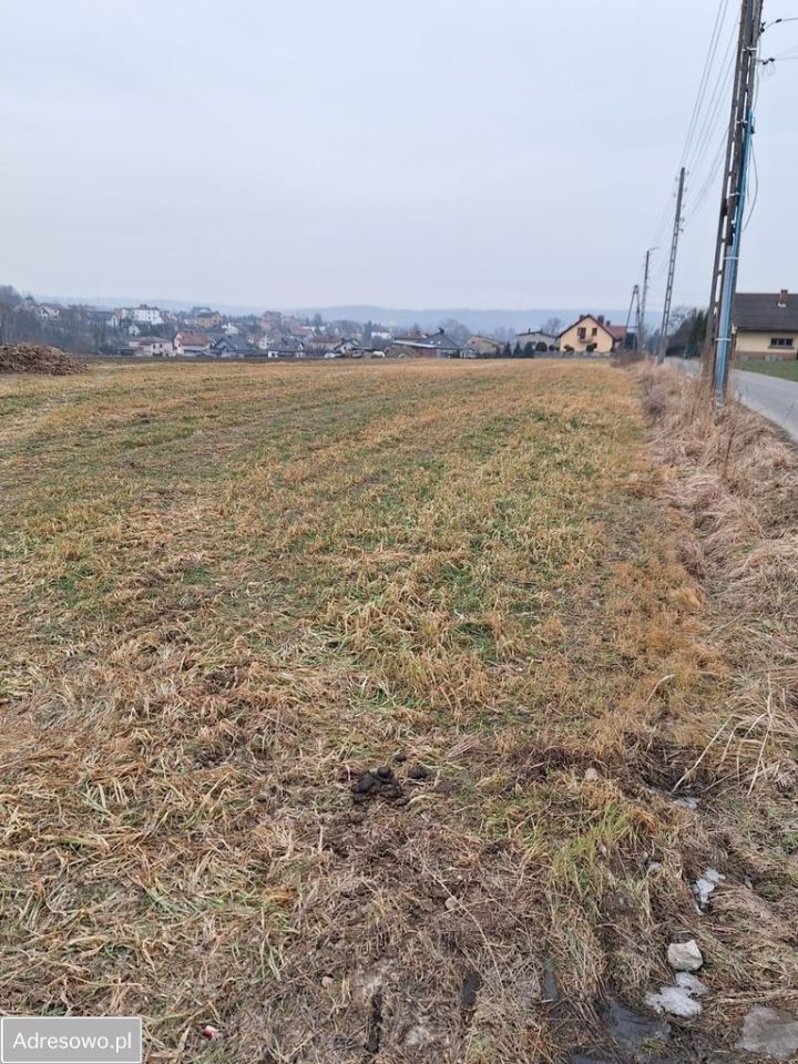 Działka budowlana Syrynia, ul. Gołężyców. Zdjęcie 1
