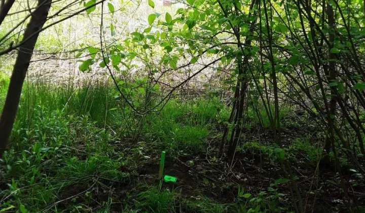 Działka budowlana Stanica, ul. Brzozowa