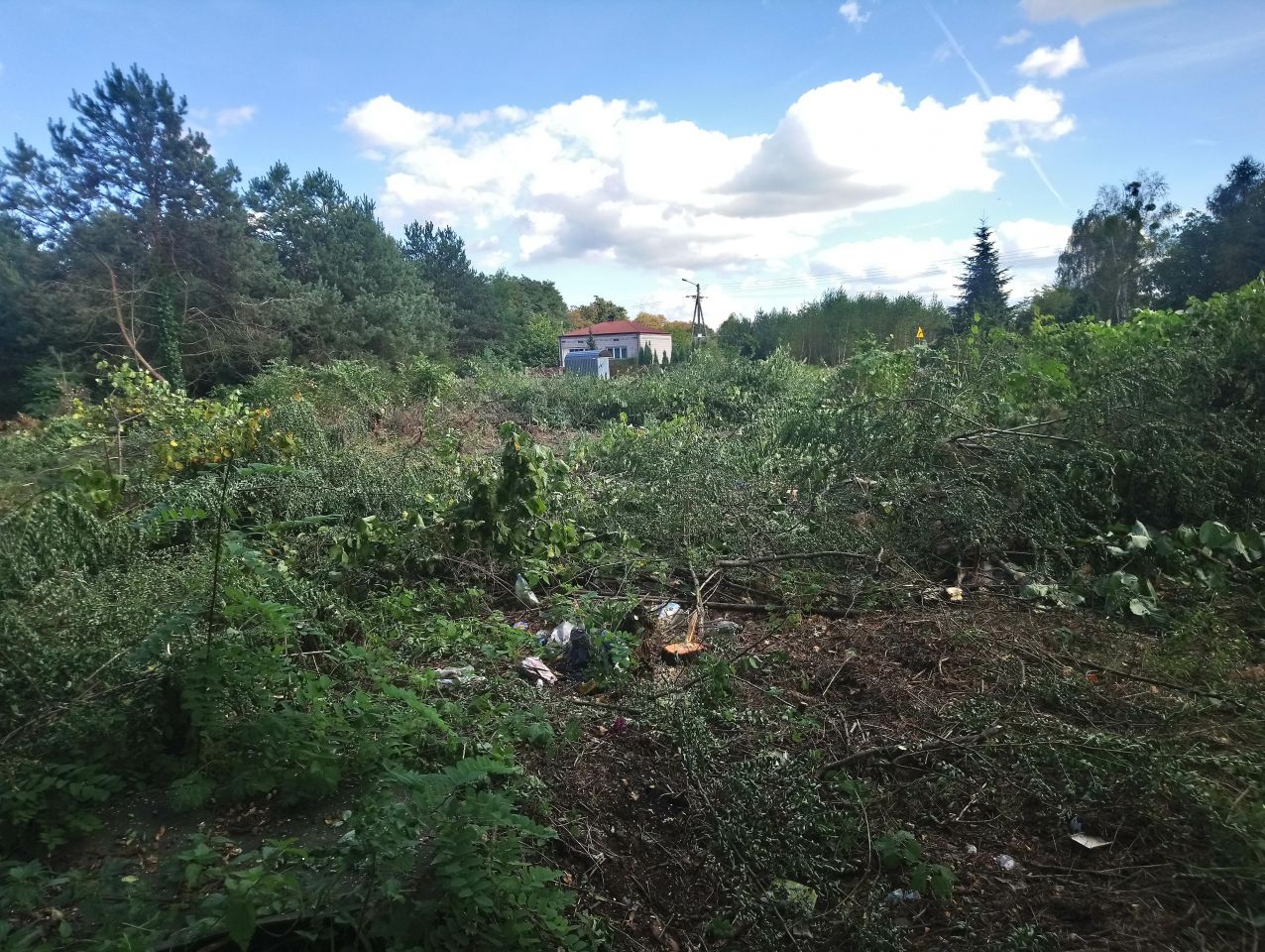 Działka budowlana Garbatka-Letnisko Letnisko, ul. Jana Kochanowskiego. Zdjęcie 5