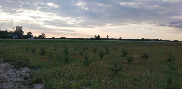 Działka budowlana Mistów, ul. Akacjowa. Zdjęcie 1