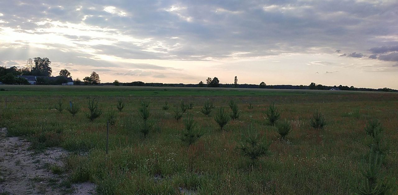 Działka budowlana Mistów, ul. Akacjowa