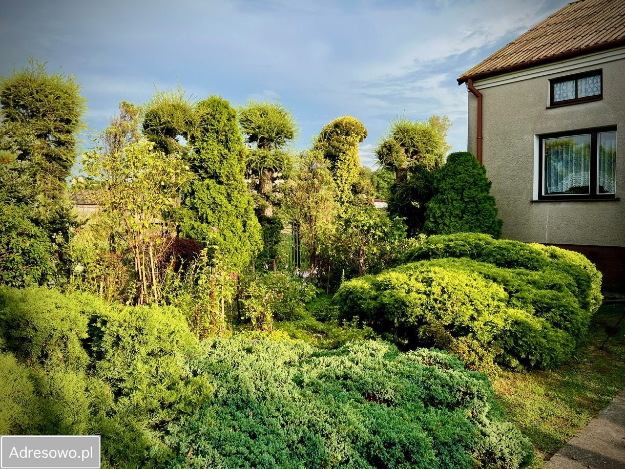 dom wolnostojący, 2 pokoje Wróble-Wargocin. Zdjęcie 9