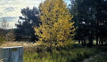 Działka budowlana Szczedrzyk