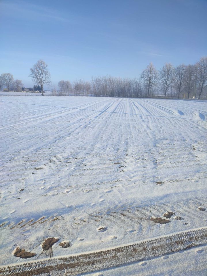Działka rolno-budowlana Rybnik. Zdjęcie 4