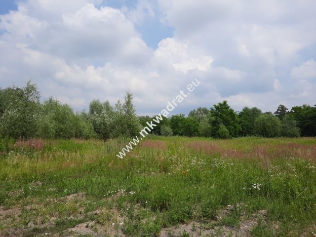 Działka budowlana Domaniewek. Zdjęcie 1