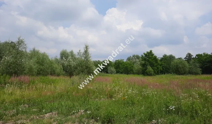 Działka budowlana Domaniewek