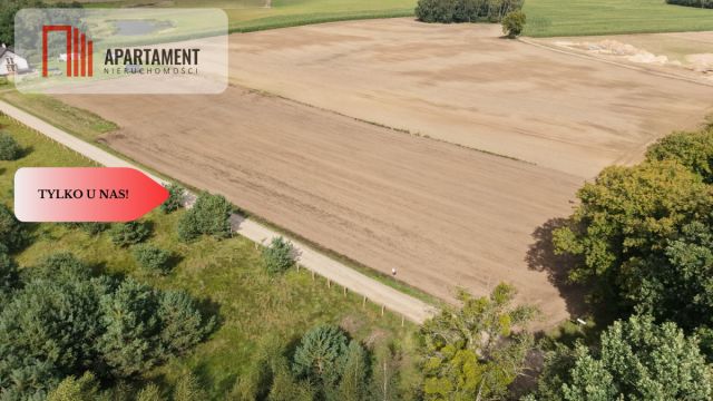 Działka rolna Grabowiec. Zdjęcie 8